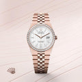 Rolex Oyster Perpetual Land Dweller Diamond Bazel Rose Gold With White Dail