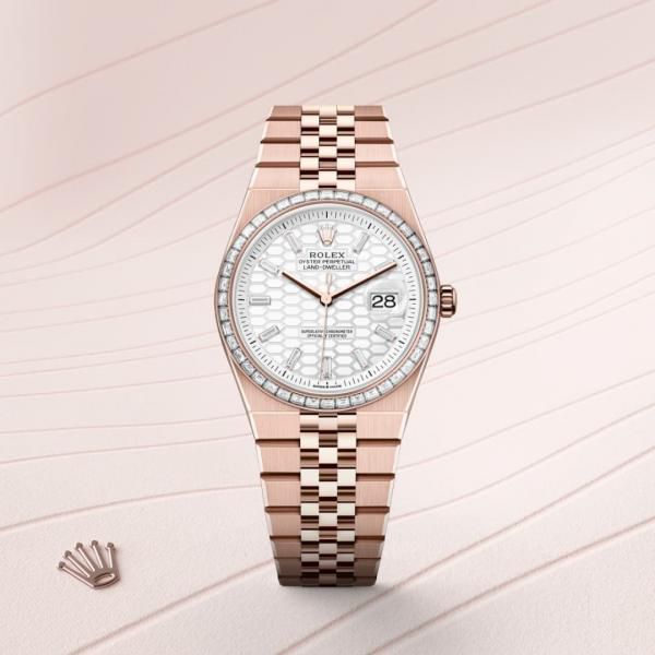 Rolex Oyster Perpetual Land Dweller Diamond Bazel Rose Gold With White Dail